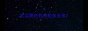 武汉黑色拉布拉多犬舍