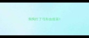 狗狗打了弓形虫疫苗