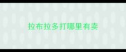 拉布拉多打哪里有卖