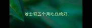 哈士奇五个月吃些啥好