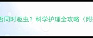 狗狗接种疫苗期间能否同时驱虫科学护理全攻略附疫苗与驱虫时间表