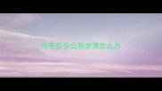 拉布拉多公狗发情怎么办