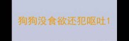 狗狗没食欲还犯呕吐