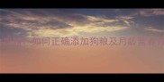 幼犬断奶期科学喂养全攻略如何正确添加狗粮及月龄营养方案附喂养时间表