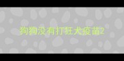 狗狗没有打狂犬疫苗