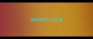 猫咪要用什么称重
