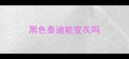 黑色泰迪能变灰吗