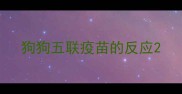 狗狗五联疫苗的反应