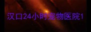 汉口24小时宠物医院