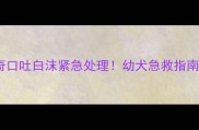 四个月大哈士奇口吐白沫紧急处理幼犬急救指南与常见病因全