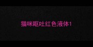 猫咪呕吐红色液体