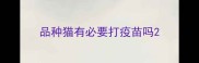 品种猫有必要打疫苗吗
