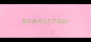 猫打完疫苗几天起效