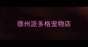 德州派多格宠物店