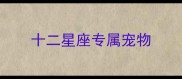 十二星座专属宠物