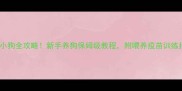 金毛犬10个月生小狗全攻略新手养狗保姆级教程附喂养疫苗训练指南附视频