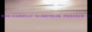狗狗细小后流鼻涕怎么办细小病毒护理全攻略附紧急处理步骤