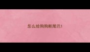 怎么给狗狗断尾巴