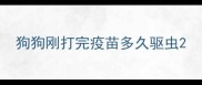 狗狗刚打完疫苗多久驱虫