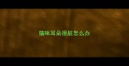 猫咪耳朵很脏怎么办