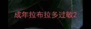 成年拉布拉多过敏