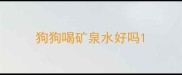 狗狗喝矿泉水好吗