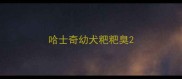 哈士奇幼犬粑粑臭