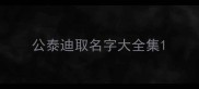 公泰迪取名字大全集