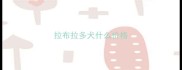拉布拉多犬什么价格