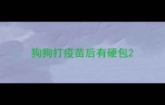 狗狗打疫苗后有硬包