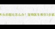 2个月大幼犬误食木头后呕吐怎么办宠物医生教你3步紧急处理及预防措施