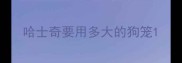哈士奇要用多大的狗笼