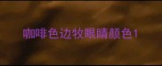 咖啡色边牧眼睛颜色