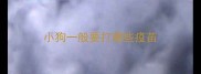 小狗一般要打哪些疫苗