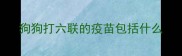 狗狗打六联的疫苗包括什么