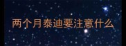 两个月泰迪要注意什么