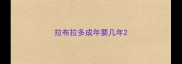 拉布拉多成年要几年