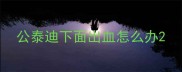 公泰迪下面出血怎么办