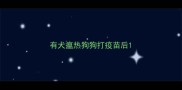 有犬瘟热狗狗打疫苗后