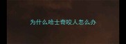 为什么哈士奇咬人怎么办