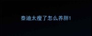 泰迪太瘦了怎么养胖