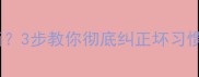 拉布拉多乱咬东西3步教你彻底纠正坏习惯附训练全流程