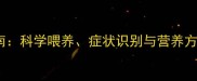小狗补钙的必备指南科学喂养症状识别与营养方案附产品推荐