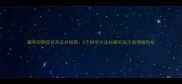 猫咪抑郁症状及应对指南5个科学方法化解毛孩子的情绪危机