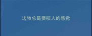 边牧总是要咬人的感觉