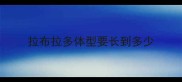 拉布拉多体型要长到多少
