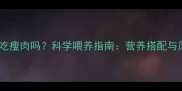泰迪犬可以吃瘦肉吗科学喂养指南营养搭配与风险规避全