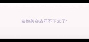 宠物美容店开不下去了