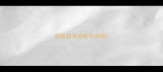 拉布拉多犬吃牛肉馅