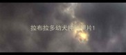 拉布拉多幼犬纯种照片